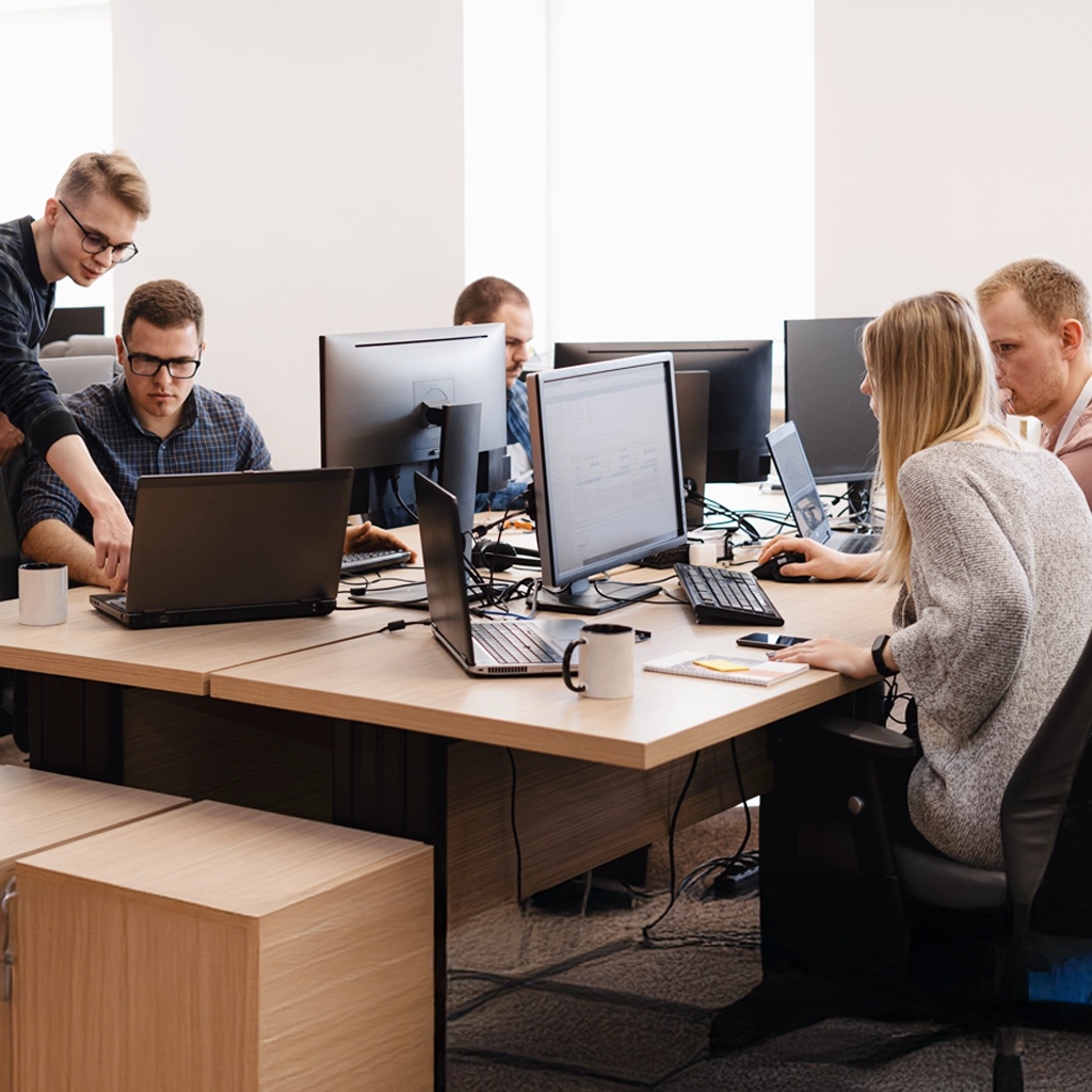 Collaboration process of extended software development team