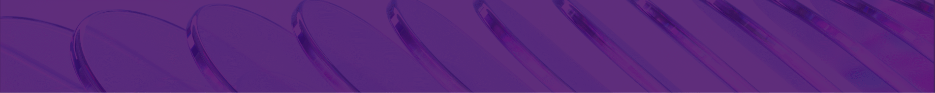A purple wall