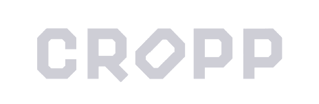 logo cropp