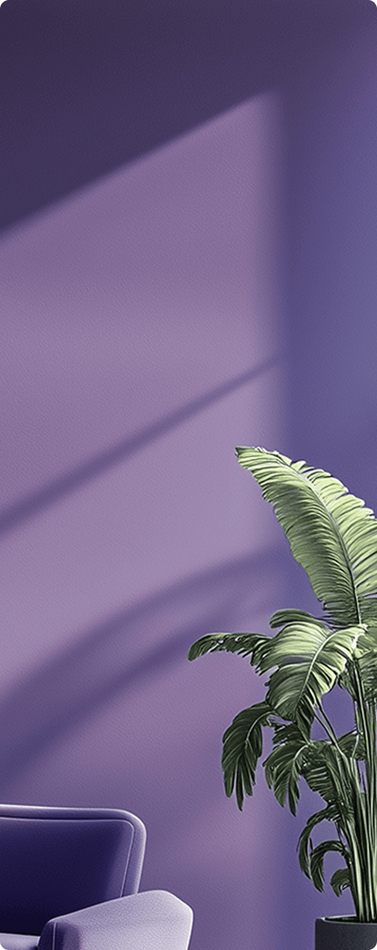 A purple background with a plant and chair